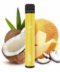 elfbar600 - coconut melon