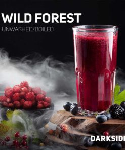 Darkside Base Wild Forest