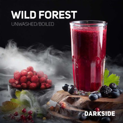Darkside Base Wild Forest