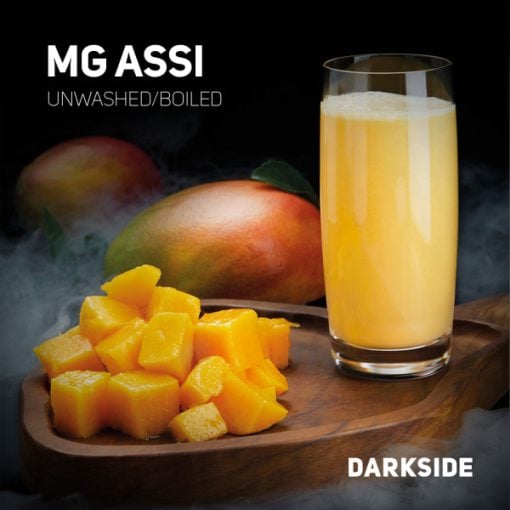 Darkside Core MG Assi