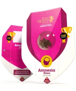 Royal Queen Seeds - Amnesia Haze