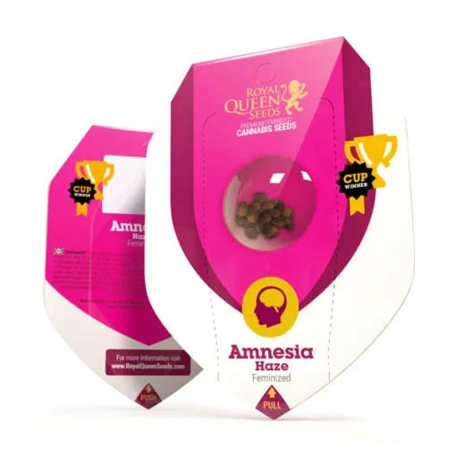 Royal Queen Seeds - Amnesia Haze