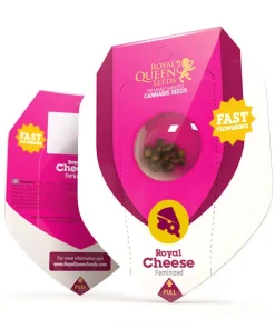 Royal Queen Seeds - Royal Cheese (Fast Flowering)