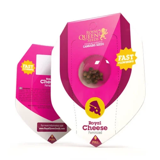 Royal Queen Seeds - Royal Cheese (Fast Flowering)